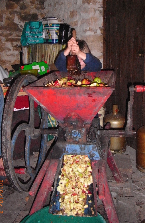 Broyage des pommes